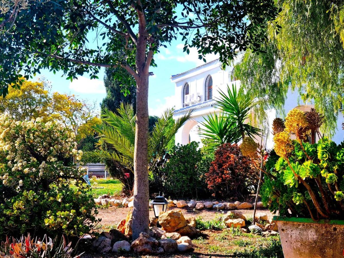 Chalet Alicante Sol Y Luz San Vicente Raspeig エクステリア 写真