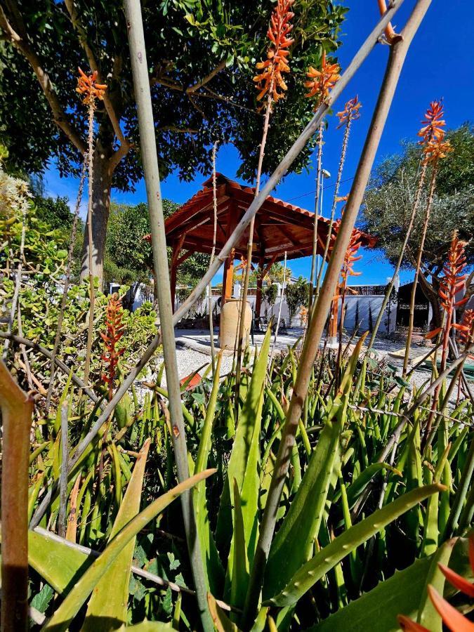 Chalet Alicante Sol Y Luz San Vicente Raspeig エクステリア 写真